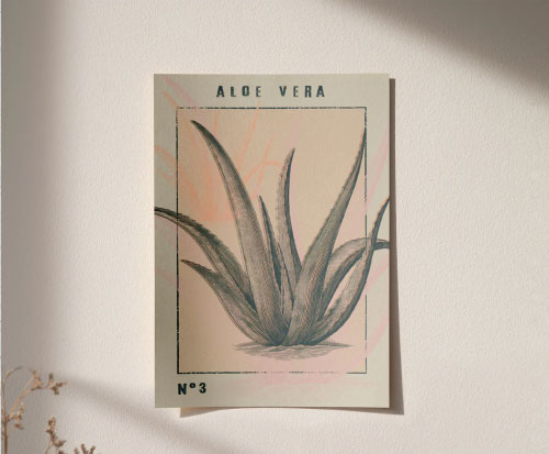 con Aloe Vera
